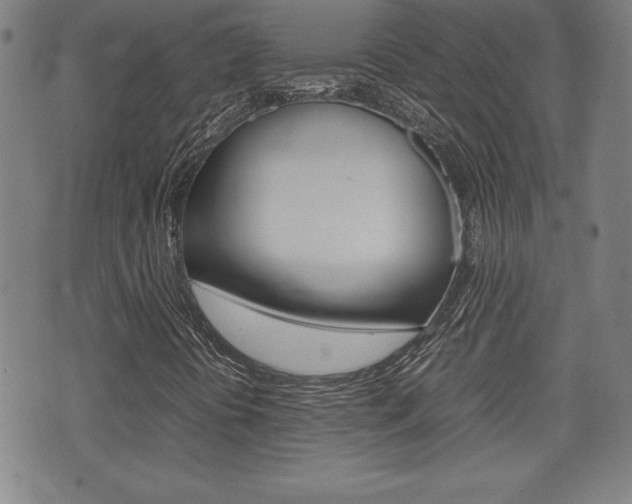 X0000074951394200609010908
