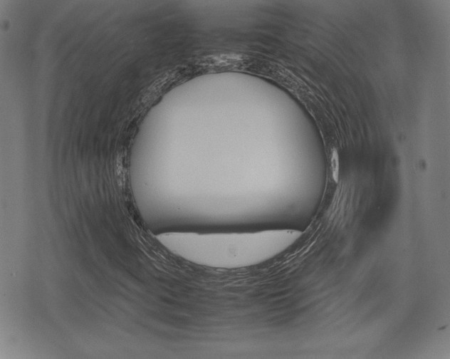X0000074951395200609010908