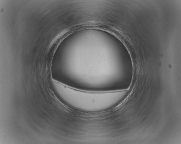 X0000074951402200609010908