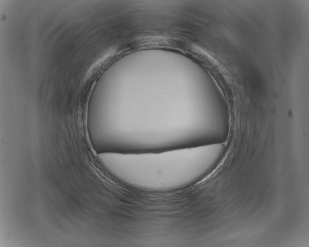 X0000074951403200609010908