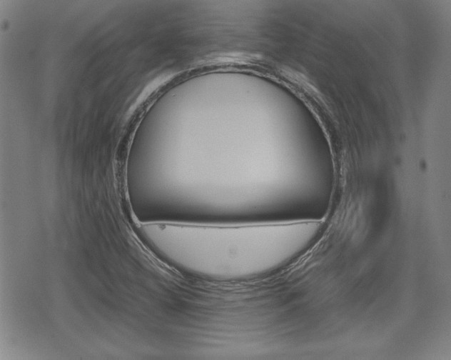 X0000074951404200609010908