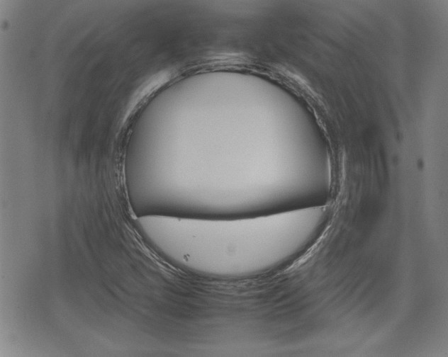 X0000074951405200609010908