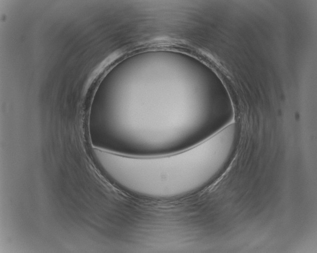 X0000074951410200609010908