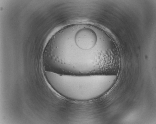 X0000074951432200609010909