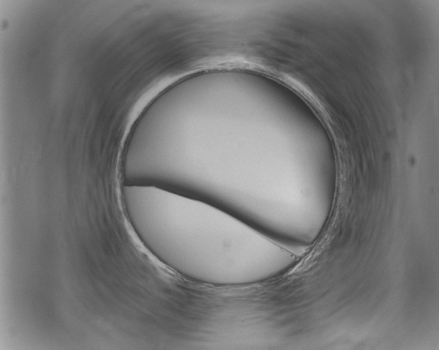 X0000074951440200609010909