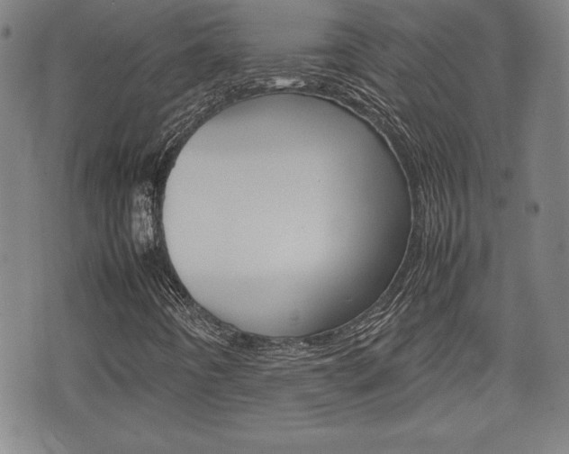 X0000074951442200609010908
