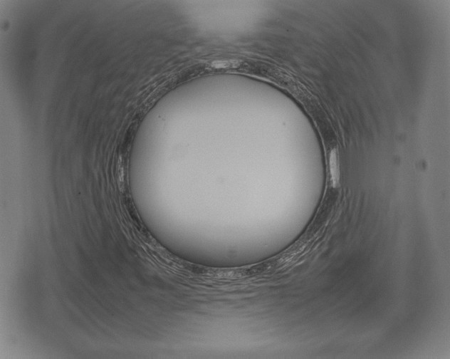 X0000074951443200609010908