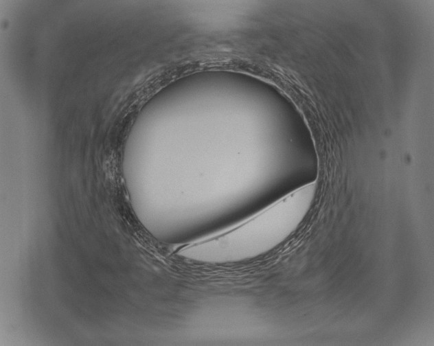 X0000074951445200609010908