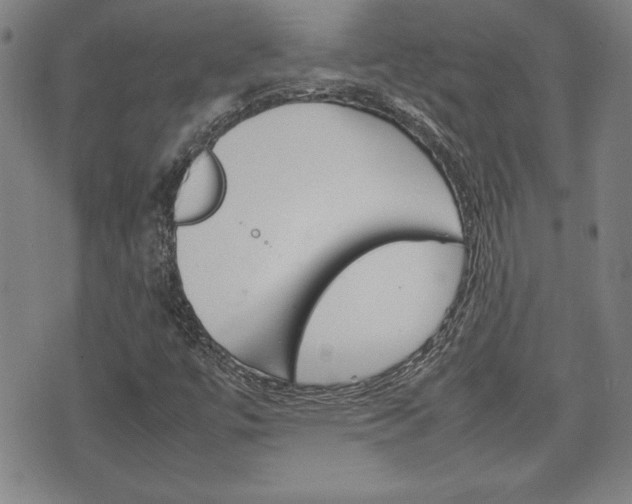 X0000074951447200609010908