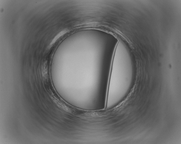 X0000074951450200609010908