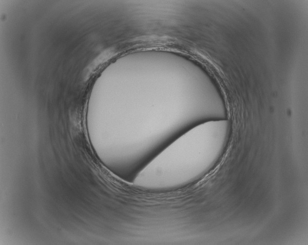 X0000074951451200609010908