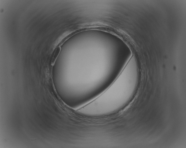 X0000074951457200609010908