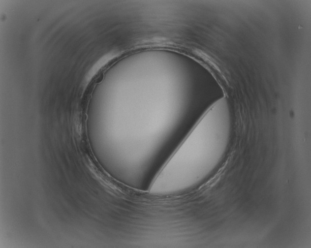 X0000074951458200609010908