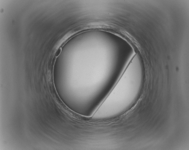 X0000074951465200609010908