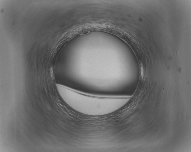 X0000074951492200609010907