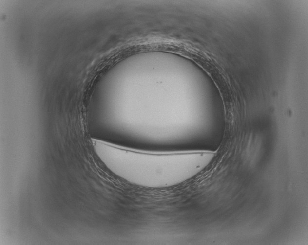 X0000074951493200609010907