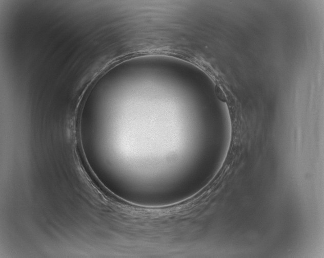 X0000074950002200609011132