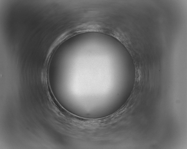 X0000074950004200609011132