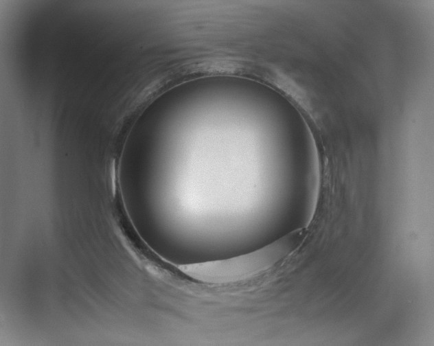 X0000074950013200609011132