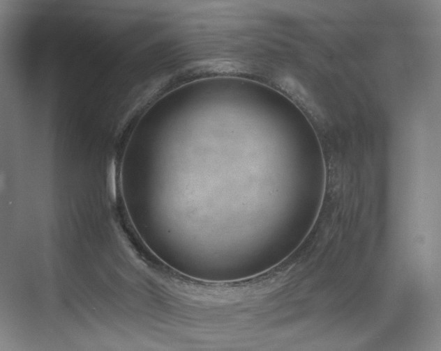 X0000074950014200609011132