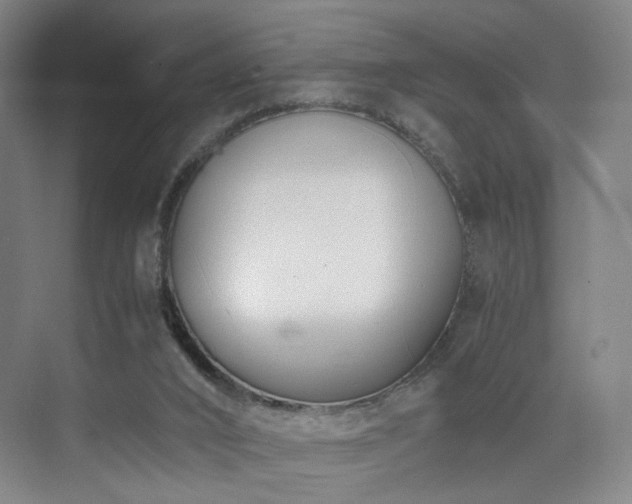 X0000074950016200609011132