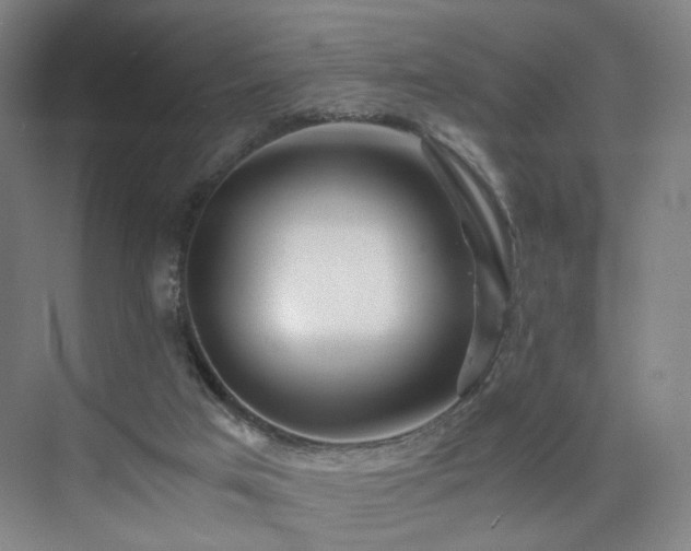 X0000074950017200609011132