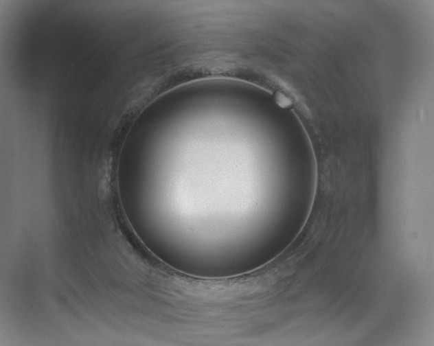 X0000074950018200609011132