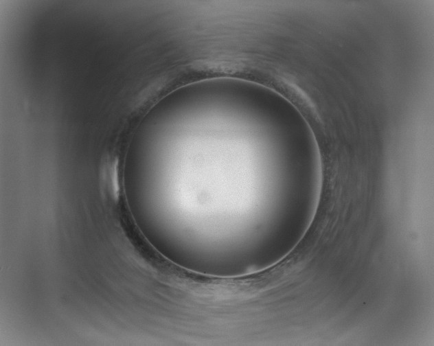 X0000074950020200609011132