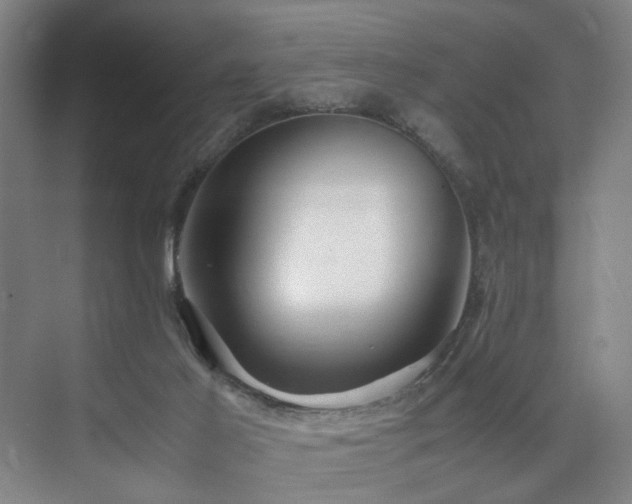 X0000074950021200609011132
