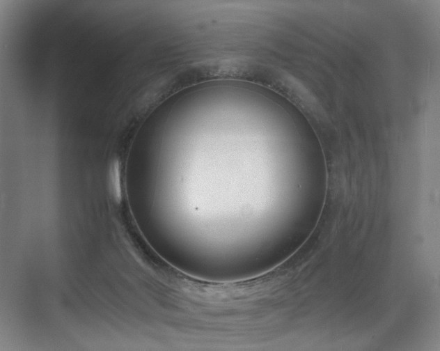 X0000074950022200609011132