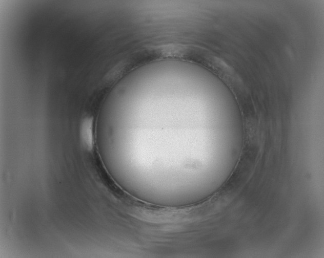 X0000074950028200609011132