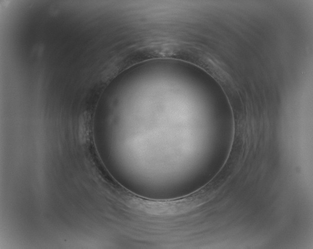 X0000074950030200609011132