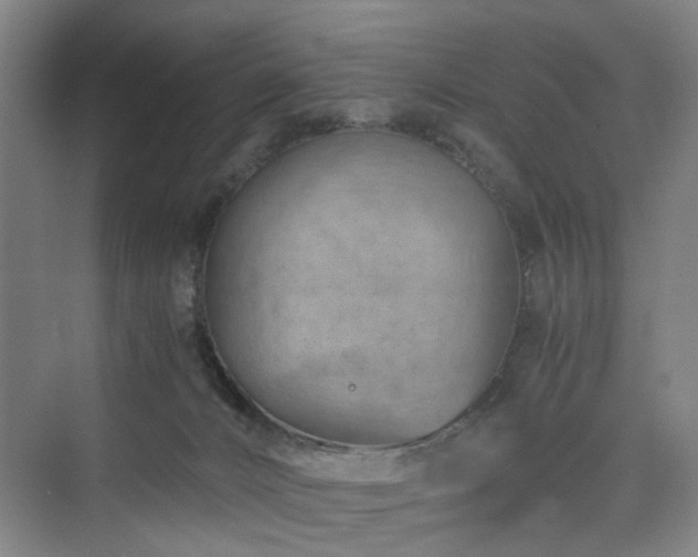 X0000074950032200609011132