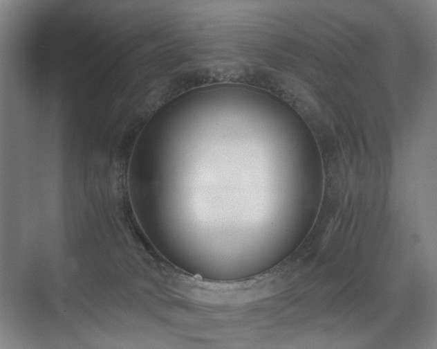 X0000074950034200609011132