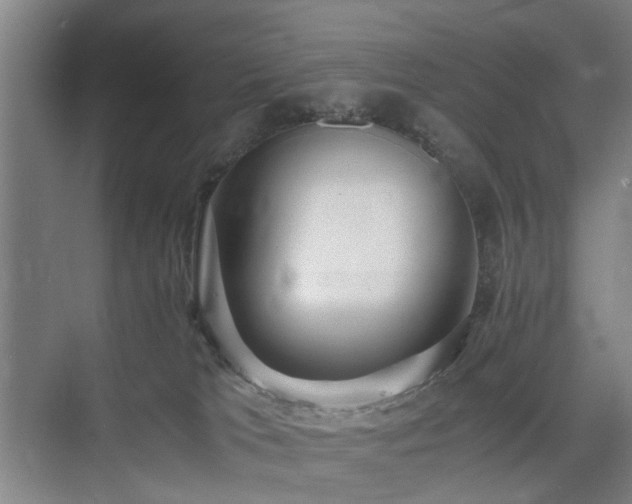X0000074950037200609011132