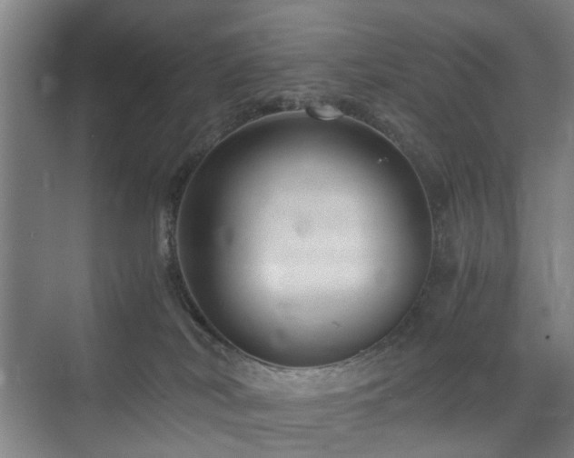 X0000074950038200609011132