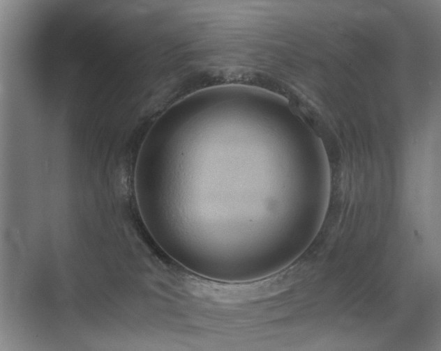 X0000074950039200609011132