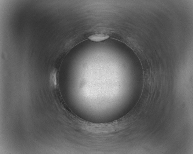 X0000074950042200609011132