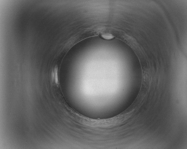 X0000074950046200609011132