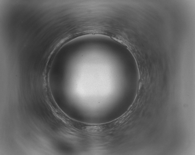 X0000074950050200609011131