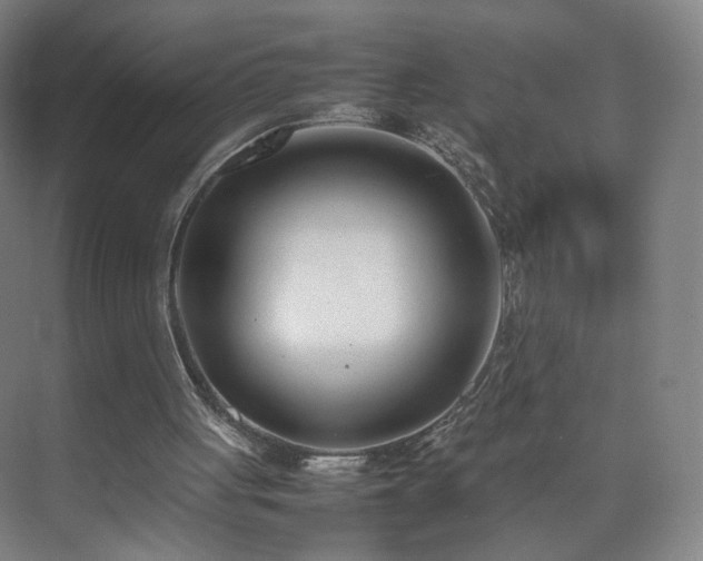 X0000074950051200609011131