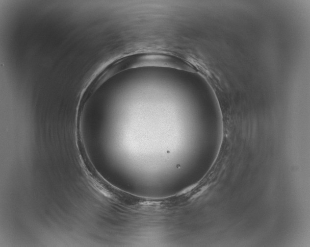 X0000074950052200609011131