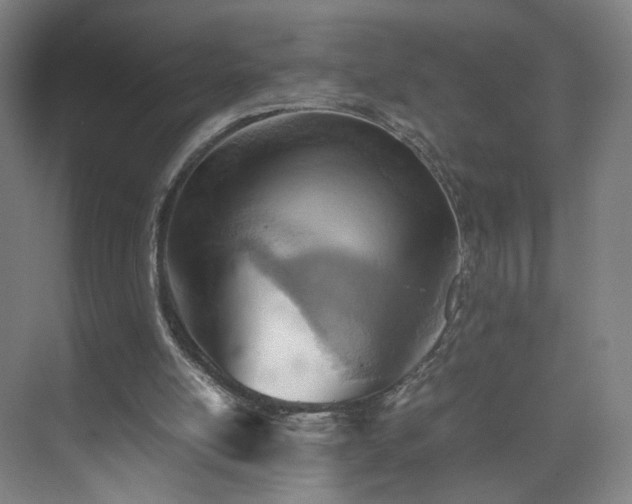 X0000074950054200609011131