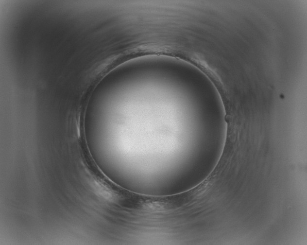X0000074950062200609011131