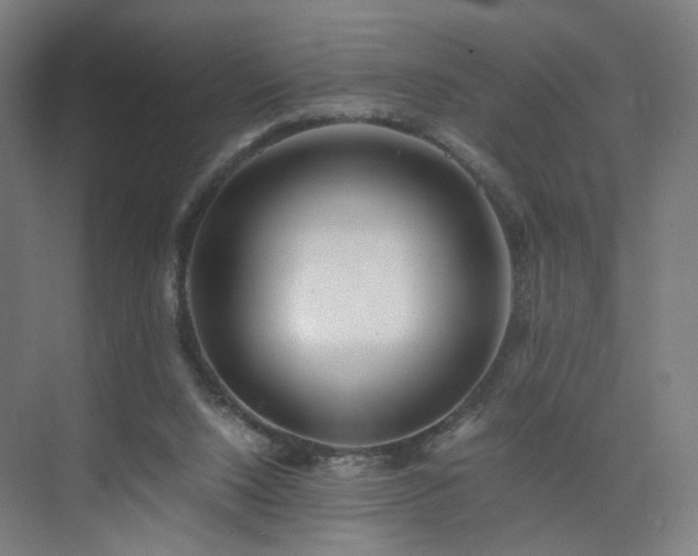 X0000074950064200609011131