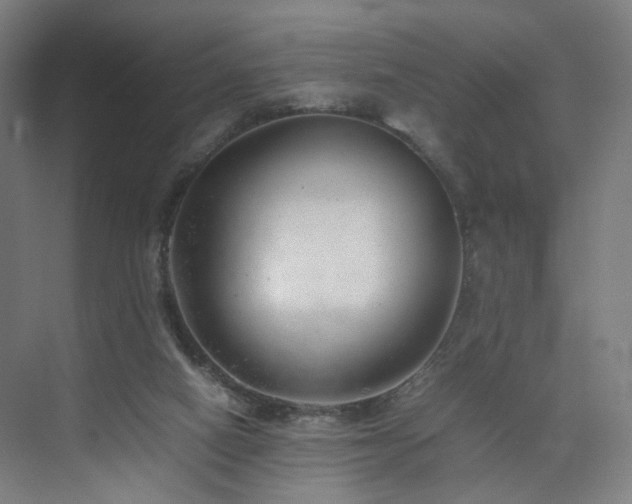 X0000074950066200609011131