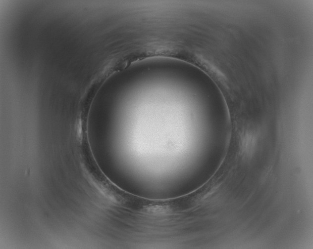 X0000074950067200609011131