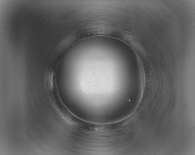X0000074950070200609011131