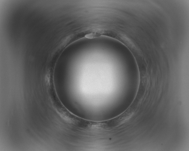 X0000074950072200609011131