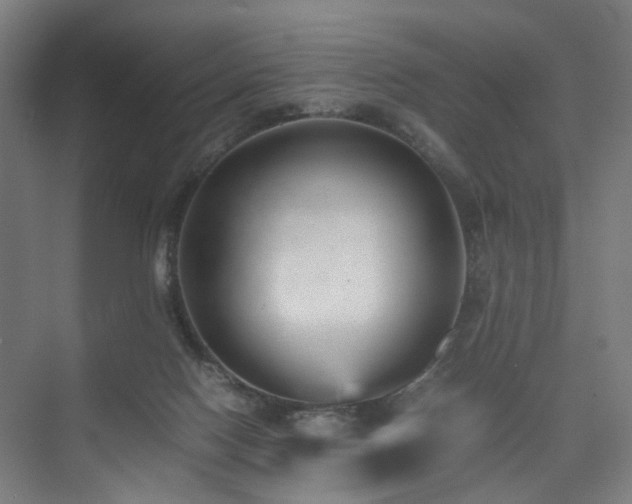 X0000074950074200609011131